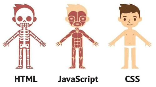 Différence entre html CSS et JavaScript