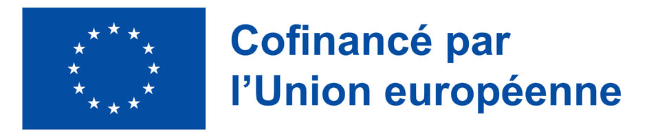 Formation Numérique - Cofinancé par l'Union européenne