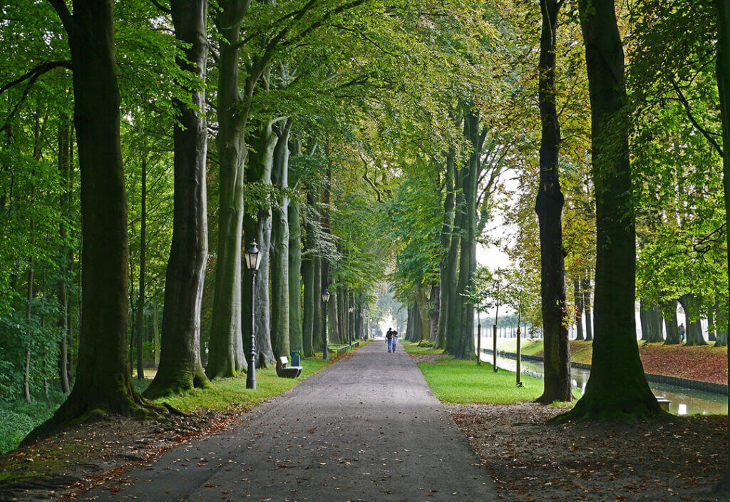 Parc du Château de Versailles - Idée de sortie